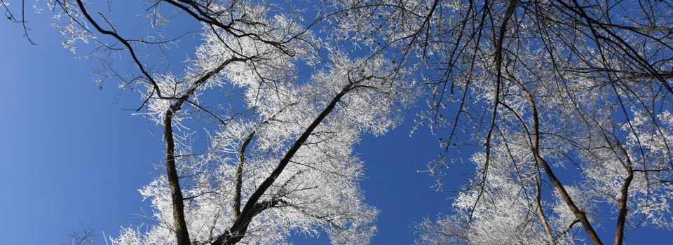 Winter VoralpenEi