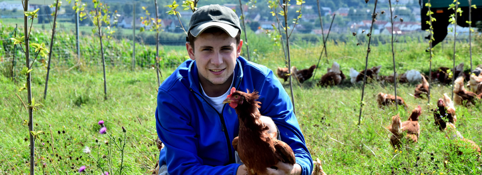 Nachhaltige Landwirtschaft